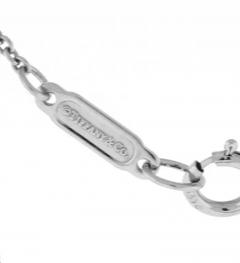  Tiffany Co TIFFANY CO S PAPER FLOWER DIAMOND PLATINUM PENDANT - 3227303