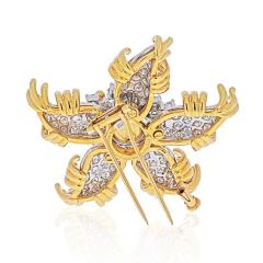  Tiffany Co TIFFANY CO SCHLUMBERGER PLATINUM 18K YELLOW GOLD STARFISH DIAMOND BROOCH - 1941081