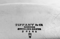 Tiffany Co Tiffany American Modern Sterling Silver Deep 13 Inch Tray - 4338758
