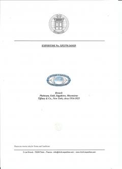  Tiffany Co Tiffany Co Art Nouveau Brooch Louis Comfort Tiffany - 4456629