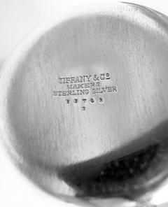  Tiffany Co Tiffany Midcentury Modern Apple Trophy with Lots of Room for Engraving - 4221289