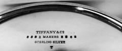  Tiffany Co Tiffany Victorian Classical Repousse Sterling Silver Bar Pitcher - 4117693