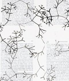  Tim Rollins Studio K O S One the Origin of Species after Charles Darwin  - 4039278