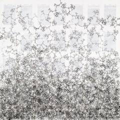  Tim Rollins Studio K O S One the Origin of Species after Charles Darwin  - 4040445