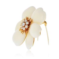 Van Cleef Arpels Van Cleef Arpels 18K Yellow Gold Rose De Noel 2 Inches White Coral Brooch - 4245632