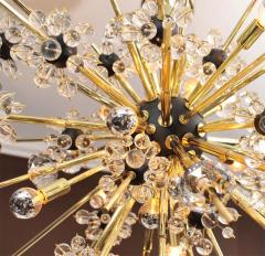  Venfield Crystal and Brass Rod Sputnik Chandelier with Black Spheres - 3107609