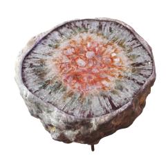  Von Pelt Von Pelt Atelier Contemporary Handmade Rare Geode Shape Meteorite Coffee Table - 3228088
