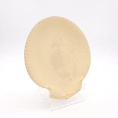  Wedgwood Wedgwood Caneware Scallop Shaped Plate Unglazed circa 1880 - 4485725