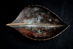  Werkst tte Carl Aub ck Leaf shaped brass Bowl with dark Patina by Werkst tte Carl Aub ck - 4501134