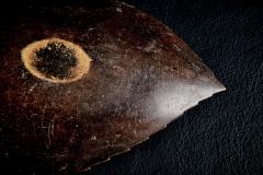  Werkst tte Carl Aub ck Leaf shaped brass Bowl with dark Patina by Werkst tte Carl Aub ck - 4501136