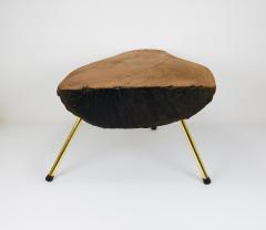  Werkst tte Carl Aub ck Original Carl Aubock Walnut Tree Trunk Coffee Sofa Table Vienna 1950s - 4529753