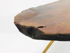  Werkst tte Carl Aub ck Original Carl Aubock Walnut Tree Trunk Coffee or Side Table 1950s - 4068513