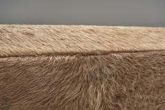  Wim Den Boon Oak Lounge Chair in Champagne Ponyskin by Wim den Boon the Netherlands 1960s - 4617235