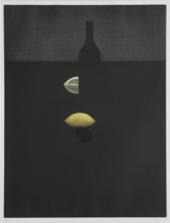  Yozo Hamaguchi Bottle with Lemon in the Darkness - 3369553