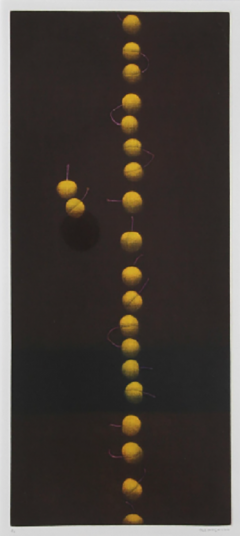  Yozo Hamaguchi Twenty Two Cherries Yellow  - 3369551