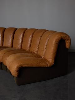  de Sede DS 600 Brown Leather Twenty Element Sofa by DeSede - 3741427