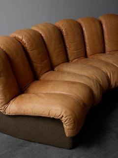  de Sede DS 600 Brown Leather Twenty Element Sofa by DeSede - 3741428