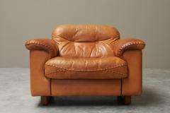  de Sede De Sede DS 101 Lounge Chair in Patinated Cognac Leather 1970s - 4468534