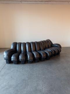  de Sede De Sede DS 600 Snake Sectional Sofa in Leather - 4283730