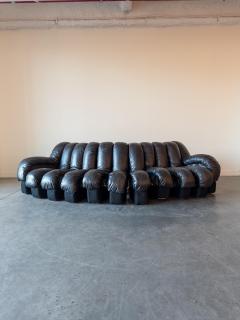  de Sede De Sede DS 600 Snake Sectional Sofa in Leather - 4283733