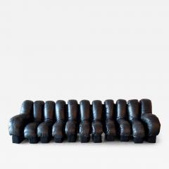  de Sede De Sede DS 600 Snake Sectional Sofa in Leather - 4288179