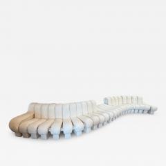  de Sede De Sede DS 600 Snake Sectional Sofa in white leather  - 4603237
