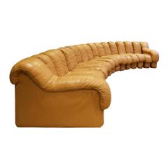  de Sede De Sede Matched Pair Of Iconic Non Stop Sofas 1970s - 1534655