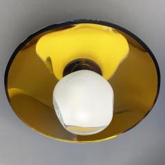  form A Sole Ceiling Light - 2637891