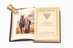 1 Volume Anna Sewell Black Beauty - 3913867