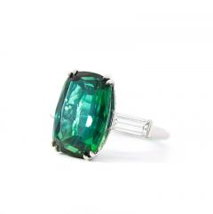12 68 Carat Zoisite Green Tanzanite Diamond Ring in Platinum 950 - 3509957