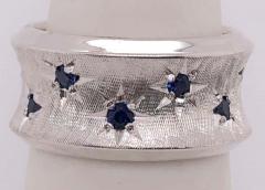 14 Karat White Gold with Round Sapphires Fashion Band Ring - 2930887