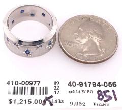 14 Karat White Gold with Round Sapphires Fashion Band Ring - 2930892