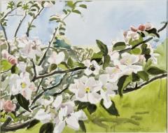 Fairfield Porter paintings