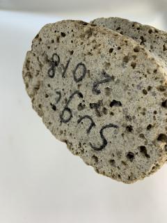   - 1136321