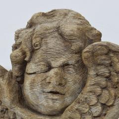 17 18th Century French Baroque Carved Oak Angel Head on Wings - 4121017