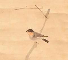 17th Century Japanese Scroll Small Bird on Branch - 4118285