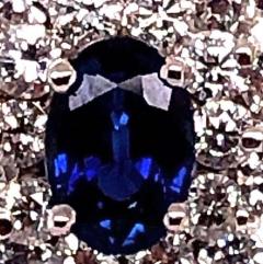 18 Karat White Gold Sapphire and Diamond Cluster Earrings - 2695836