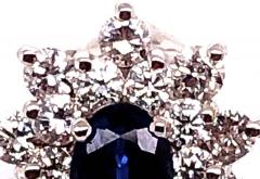 18 Karat White Gold Sapphire and Diamond Cluster Earrings - 2695842