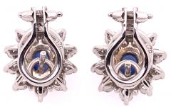 18 Karat White Gold Sapphire and Diamond Cluster Earrings - 2695847