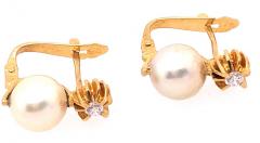 18 Karat Yellow Gold with Platinum Lever Back Pearl Earrings - 2940623