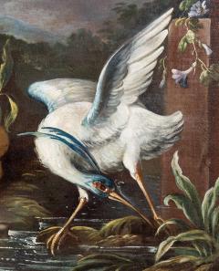 18th Century Flemish Still Life of Fruit and Blue Heron - 2302908