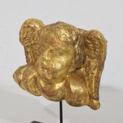 18th Century Italian Baroque Carved Giltwood Angel Head on Wings - 4518413