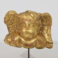 18th Century Italian Baroque Carved Giltwood Angel Head on Wings - 4518415