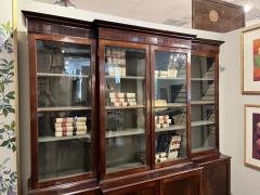 18th Century Mahogany Irish Library Cabinet with Original Glass - 4098957