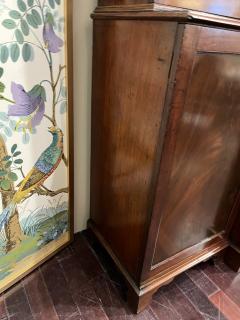 18th Century Mahogany Irish Library Cabinet with Original Glass - 4098966