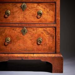 18th Century Queen Anne Burr Walnut Double Dome Bureau Bookcase - 3944895