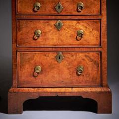 18th Century Queen Anne Burr Walnut Double Dome Bureau Bookcase - 3944897