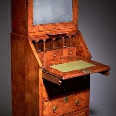 18th Century Queen Anne Burr Walnut Double Dome Bureau Bookcase - 3944901