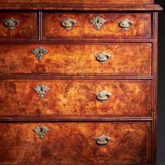 18th Century Queen Anne Burr Walnut mirrored Cabinet on Chest Circa 1705 1715 - 3953752