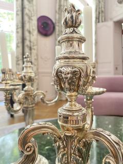 18th century French candlesticks - 3165961